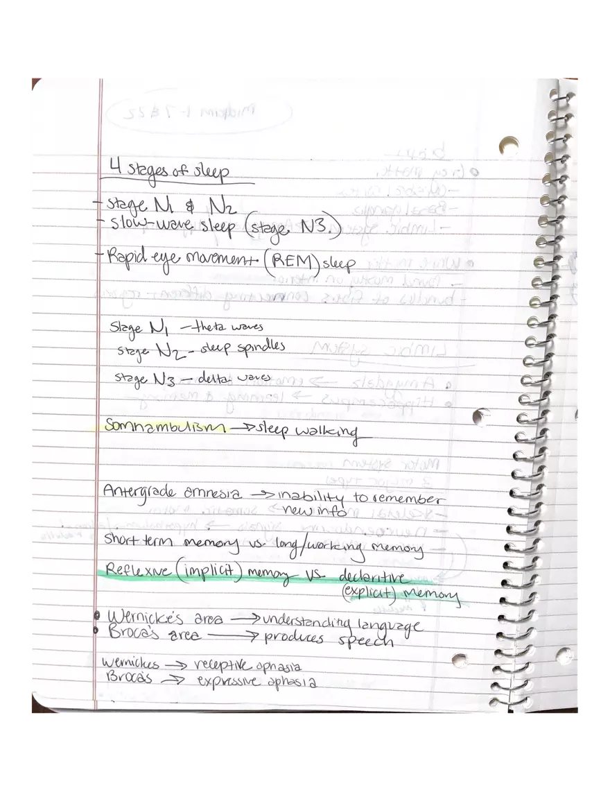 Anatomy Chapter 7-9 - Page 3