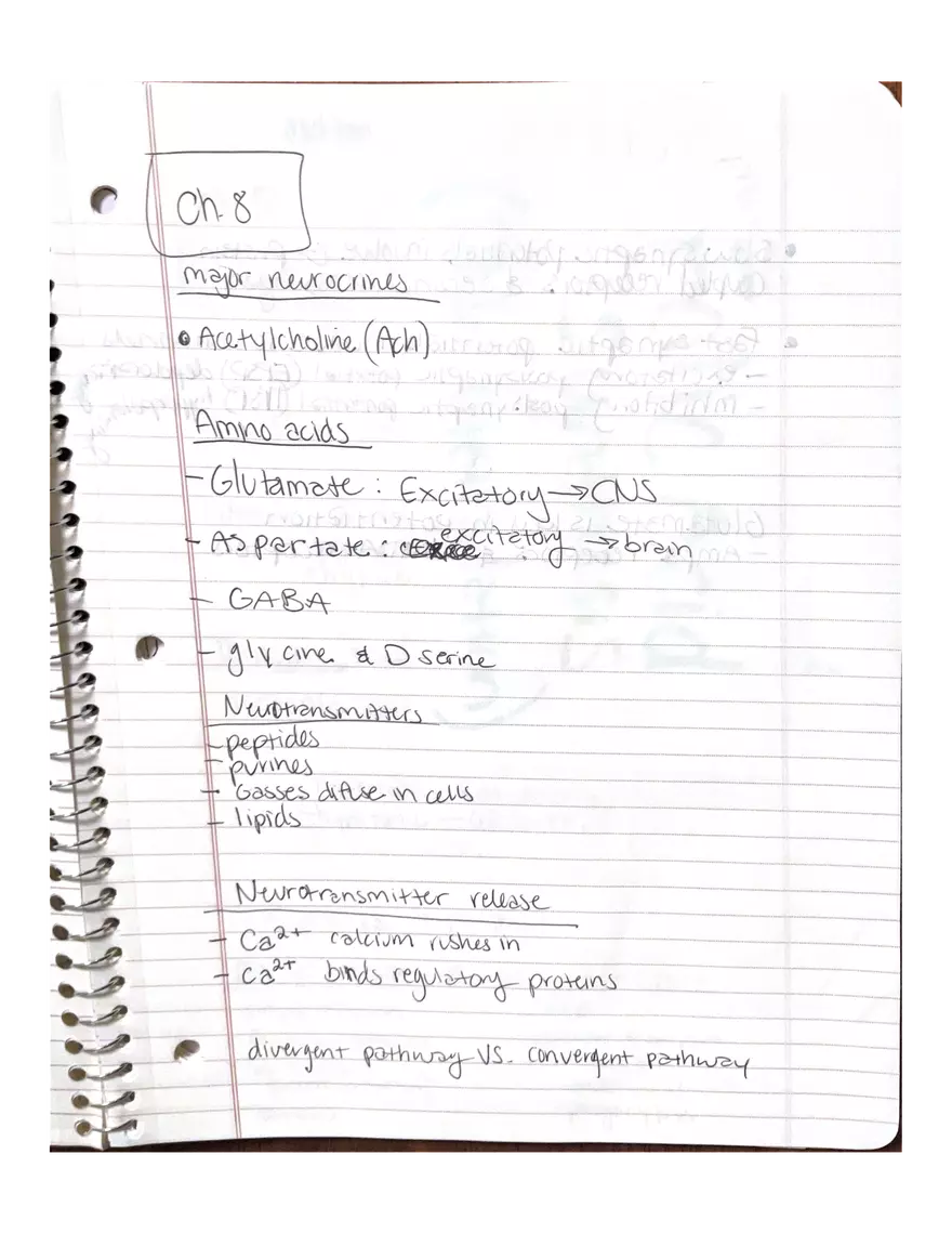 Anatomy Chapter 7-9 - Page 4