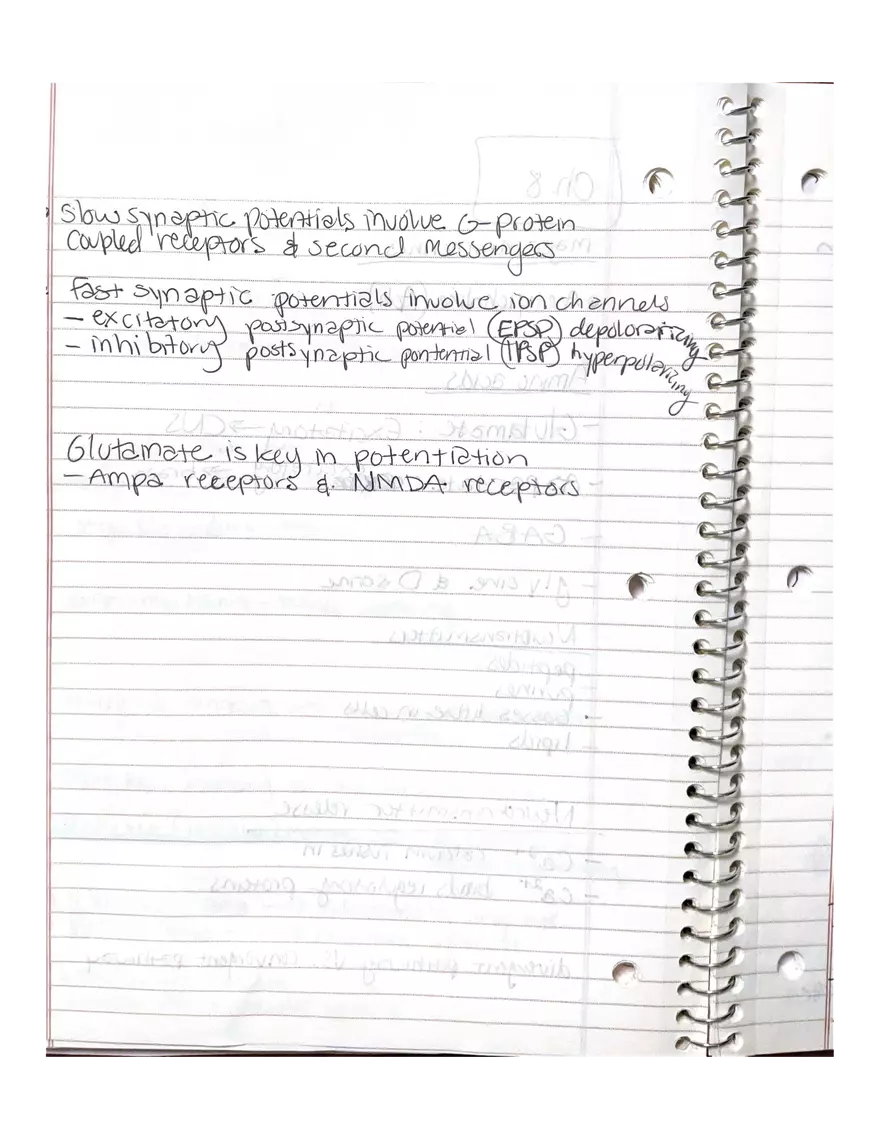 Anatomy Chapter 7-9 - Page 5