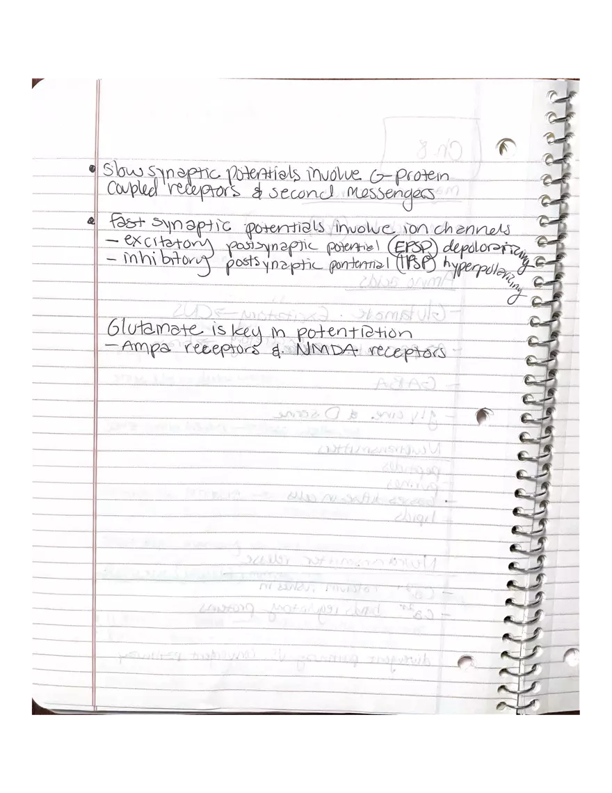 Anatomy Chapter 7-9 - Page 6