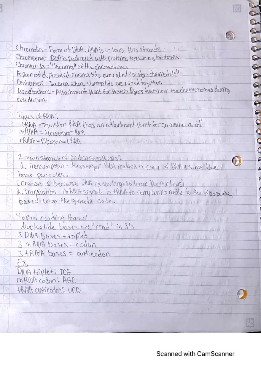 Lecture Note: Genetics, DNA Replication, and the Cell Cycle - Page 2