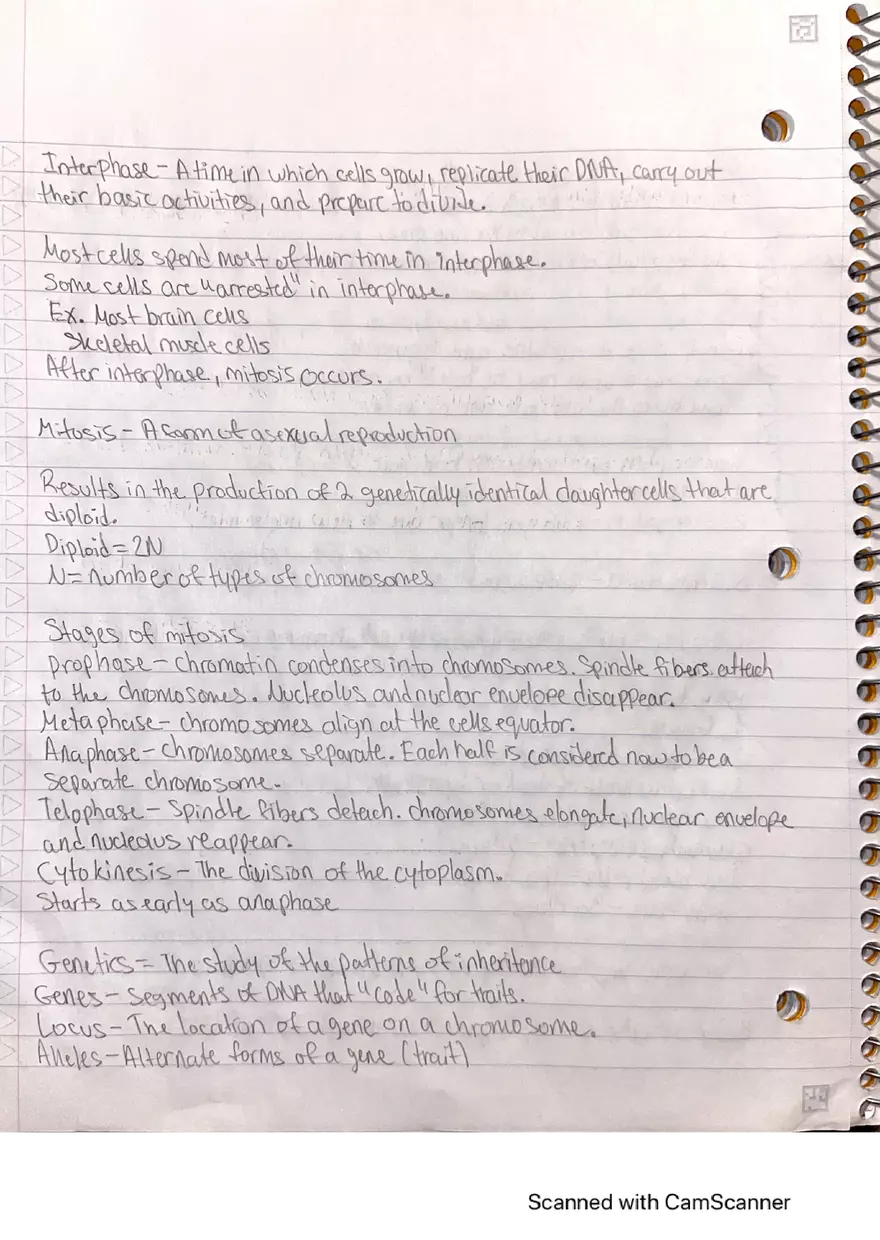 Lecture Note: Genetics, DNA Replication, and the Cell Cycle - Page 4