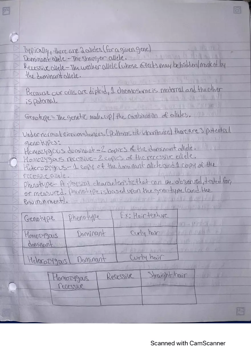 Lecture Note: Genetics, DNA Replication, and the Cell Cycle - Page 5