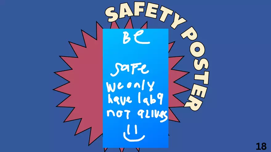 Safety Audit Laboratory 9 - Page 11