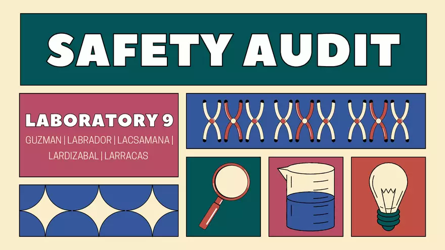 Safety Audit Laboratory 9 - Page 1