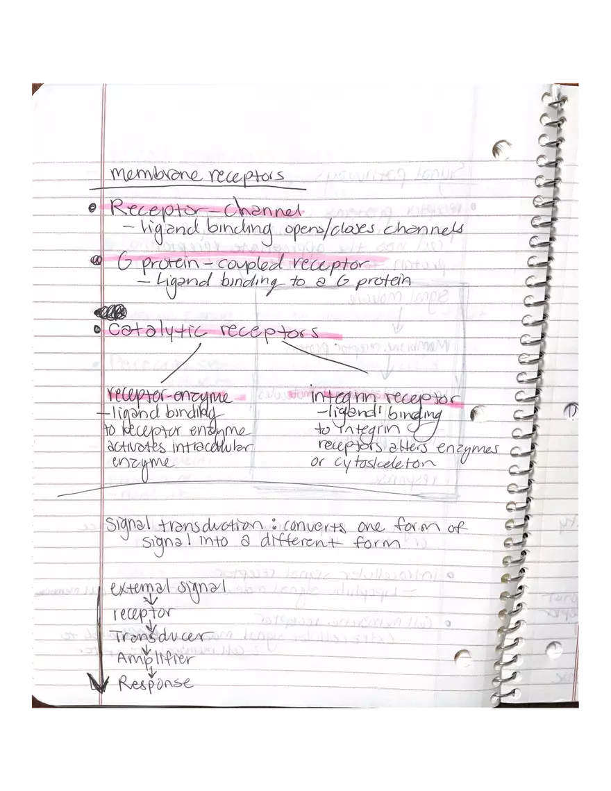 Physiology Chapter 5, 6, 22 - Page 8