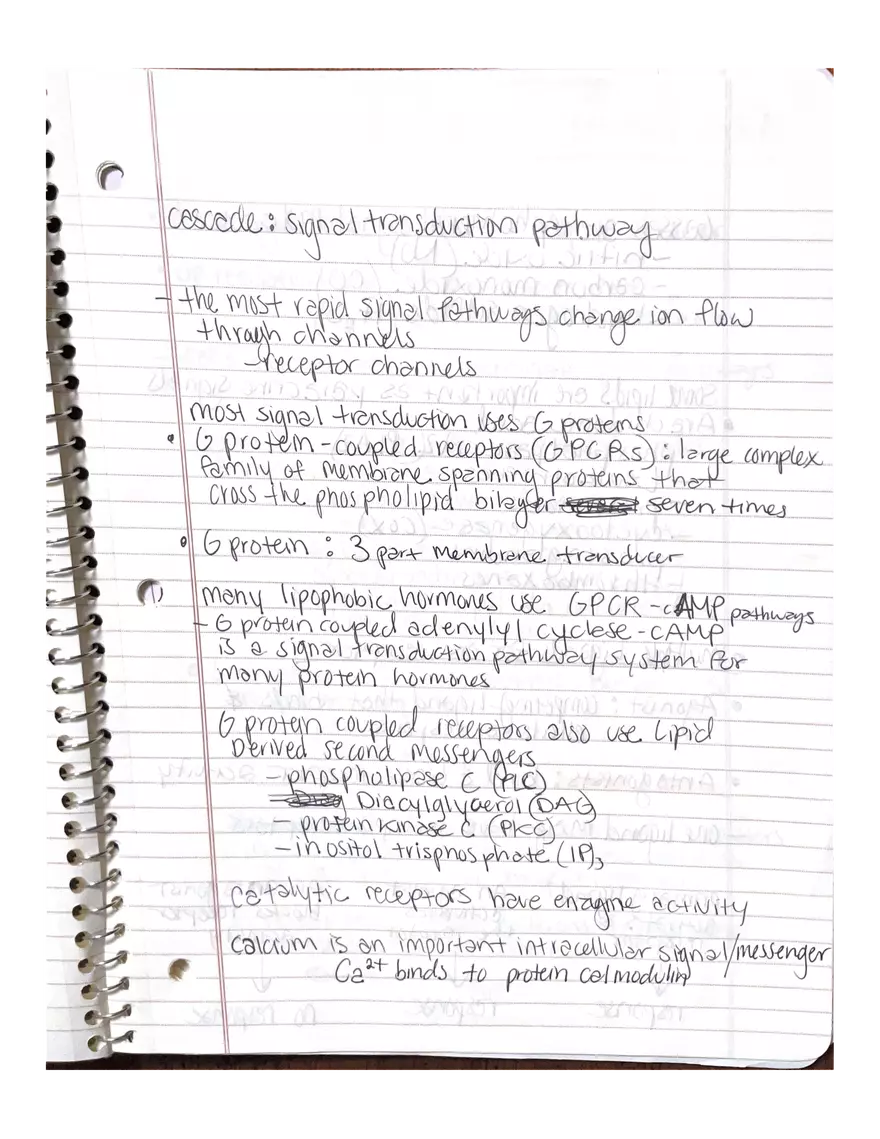 Physiology Chapter 5, 6, 22 - Page 9
