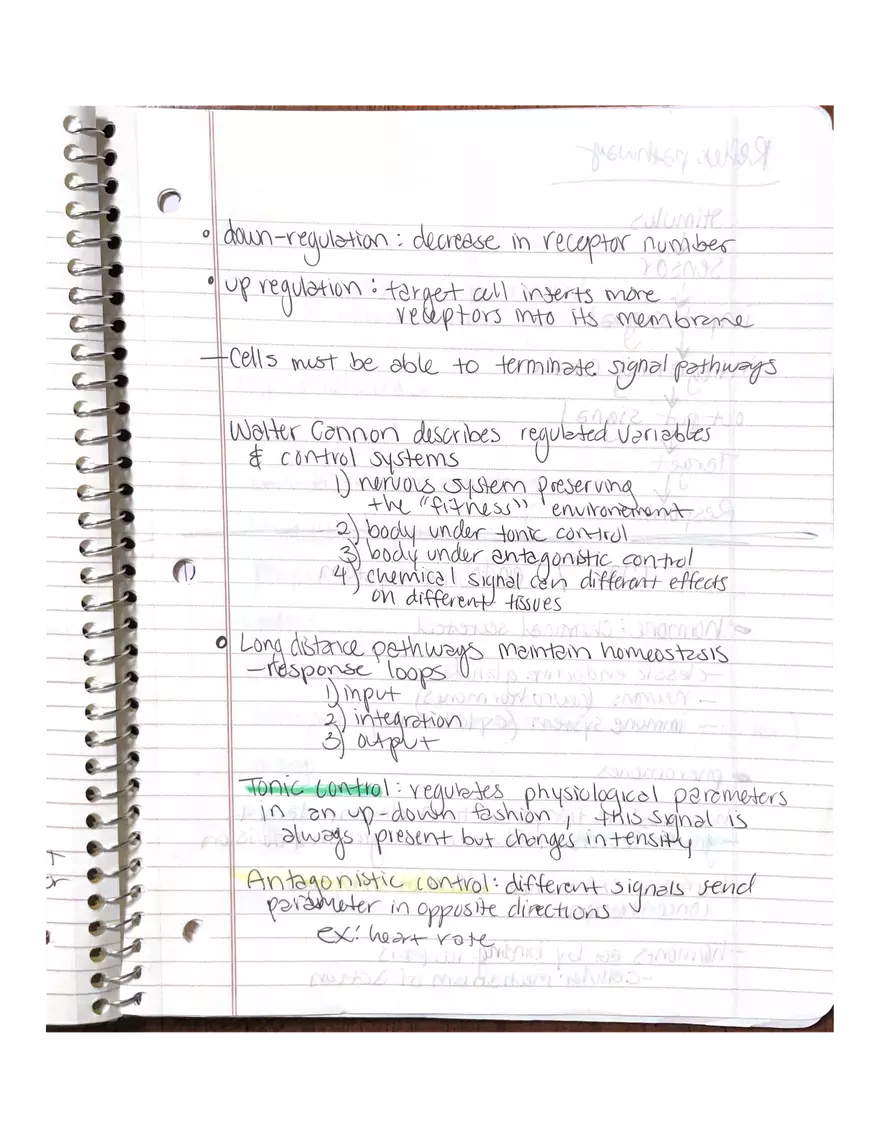 Physiology Chapter 5, 6, 22 - Page 11