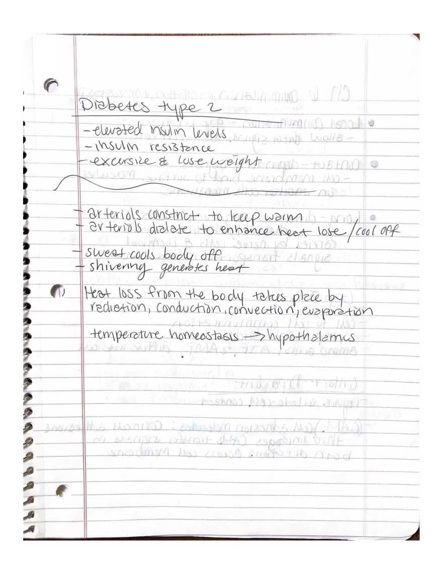 Physiology Chapter 5, 6, 22 - Page 3