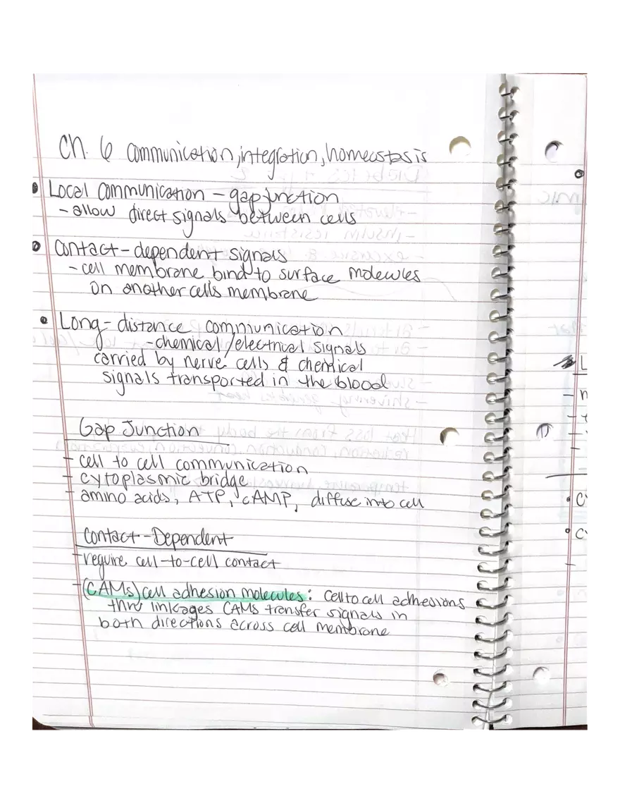 Physiology Chapter 5, 6, 22 - Page 4