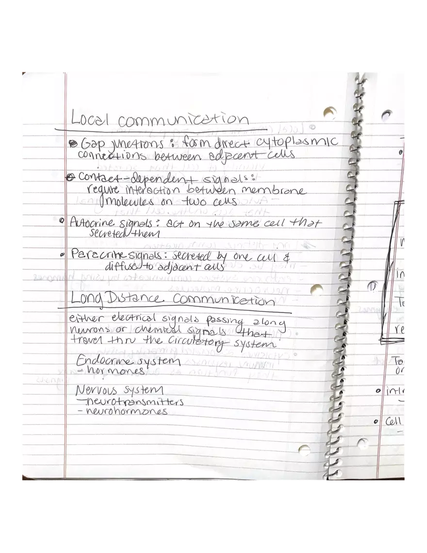 Physiology Chapter 5, 6, 22 - Page 6