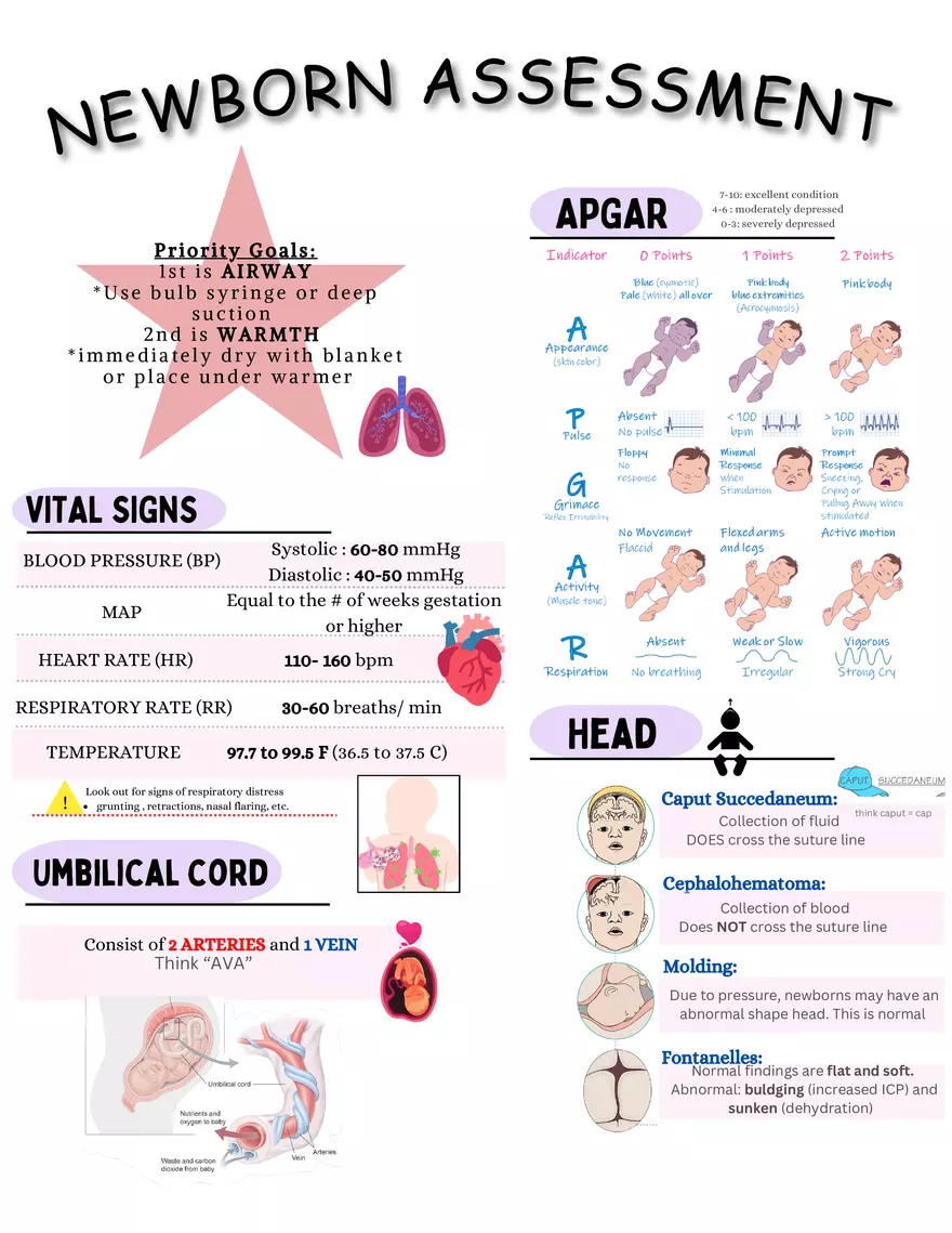 Mother Baby Postpartum Notes - Page 12