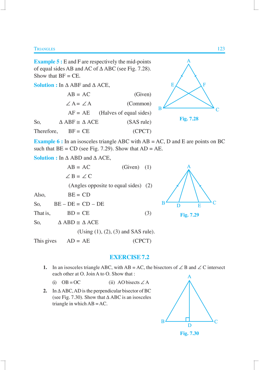 Chapter 7 Triangles - Page 7