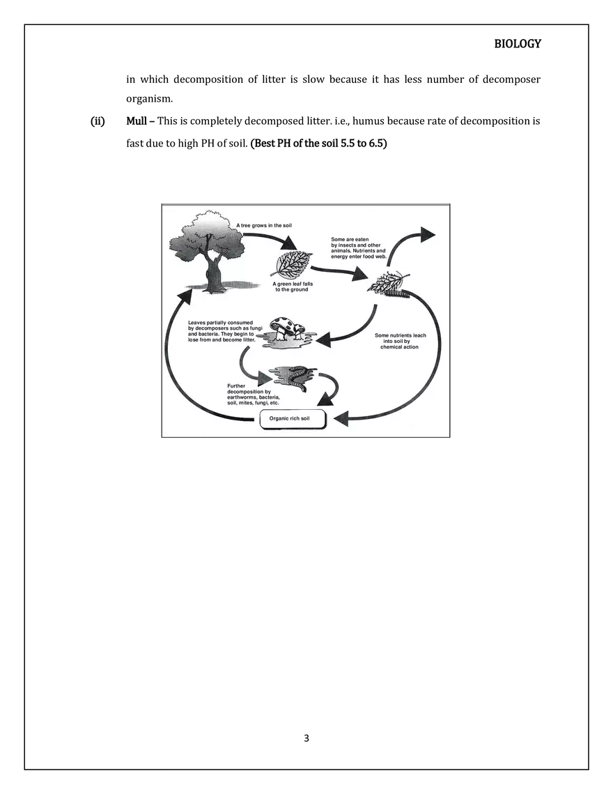 Ecosystem Decomposition - Page 3