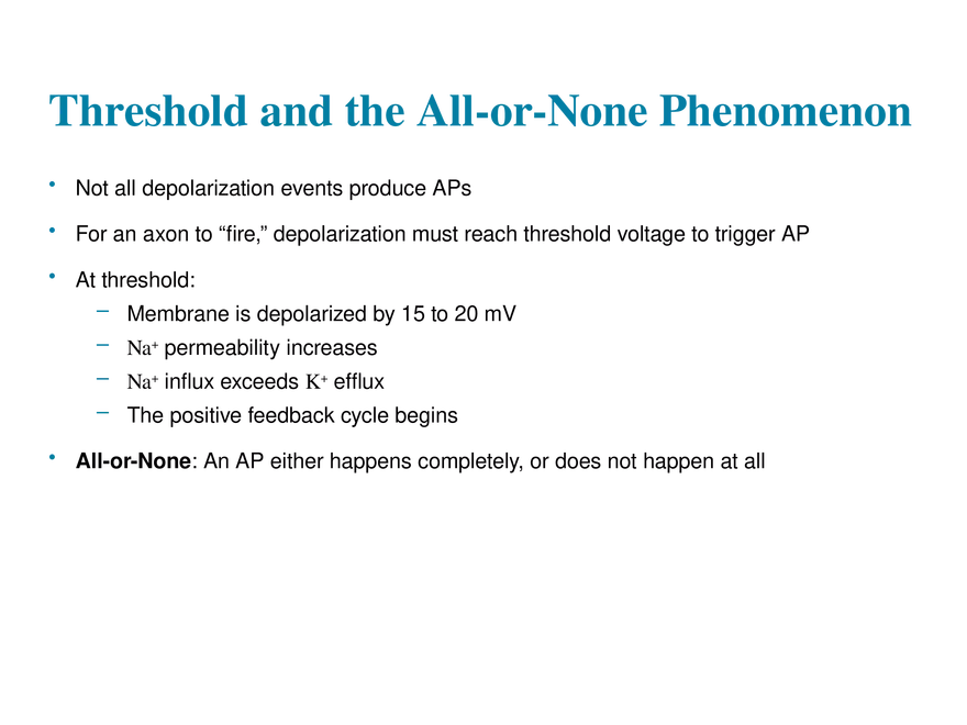 11.6  Action Potentials - Page 8
