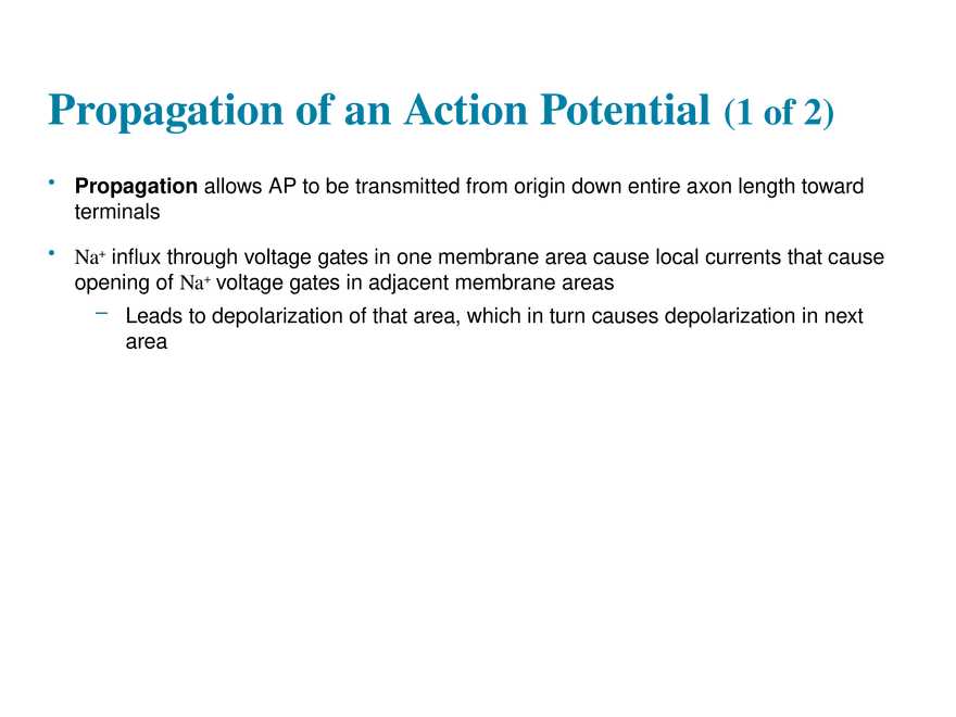 11.6  Action Potentials - Page 9