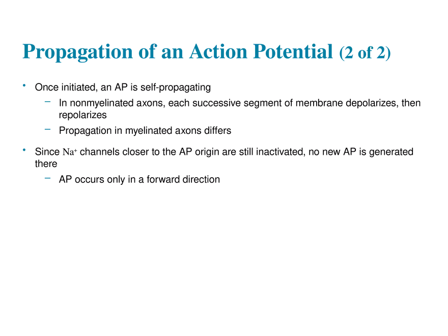 11.6  Action Potentials - Page 10