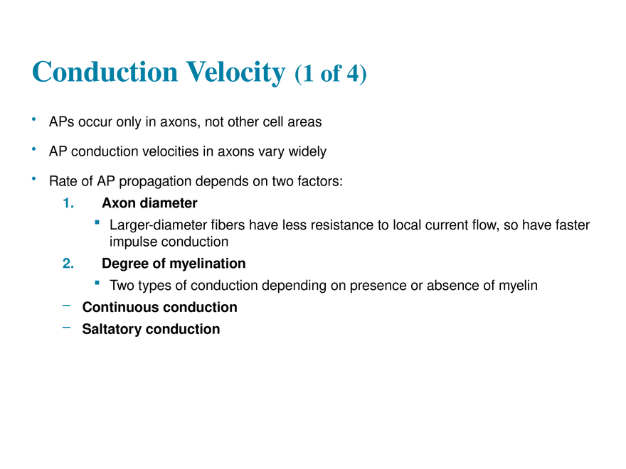 11.6  Action Potentials - Page 21