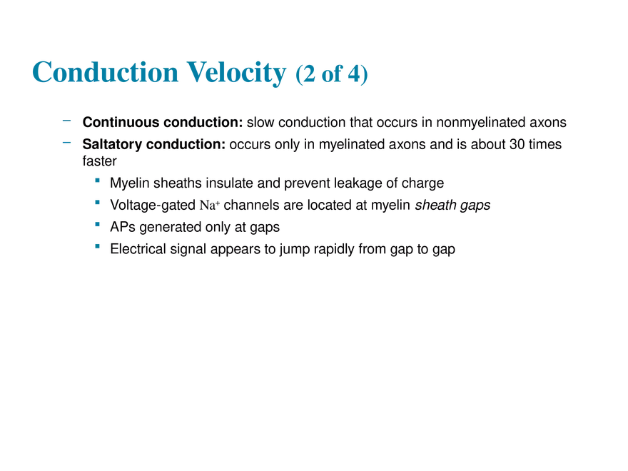 11.6  Action Potentials - Page 22