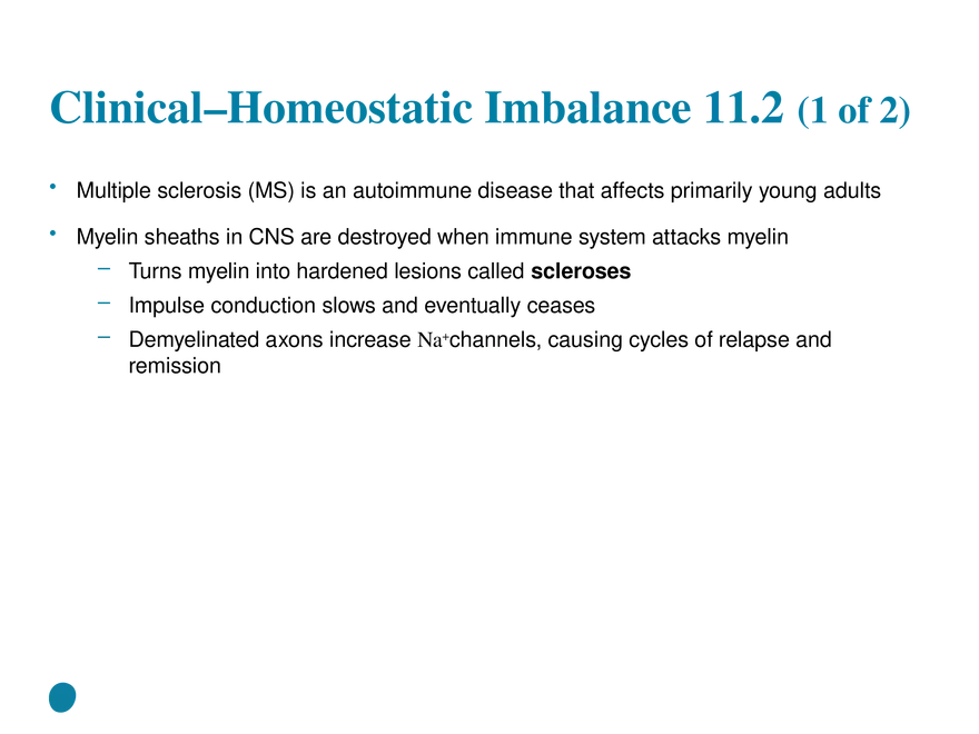 11.6  Action Potentials - Page 27