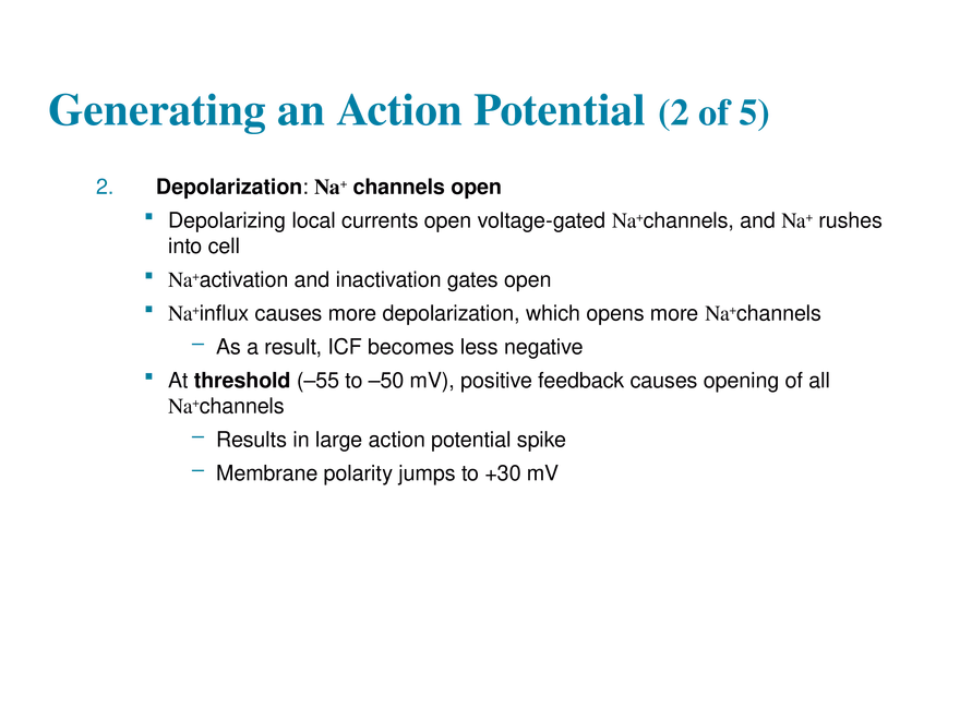 11.6  Action Potentials - Page 32