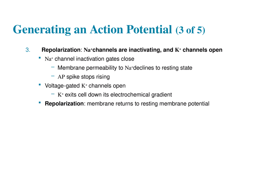 11.6  Action Potentials - Page 34
