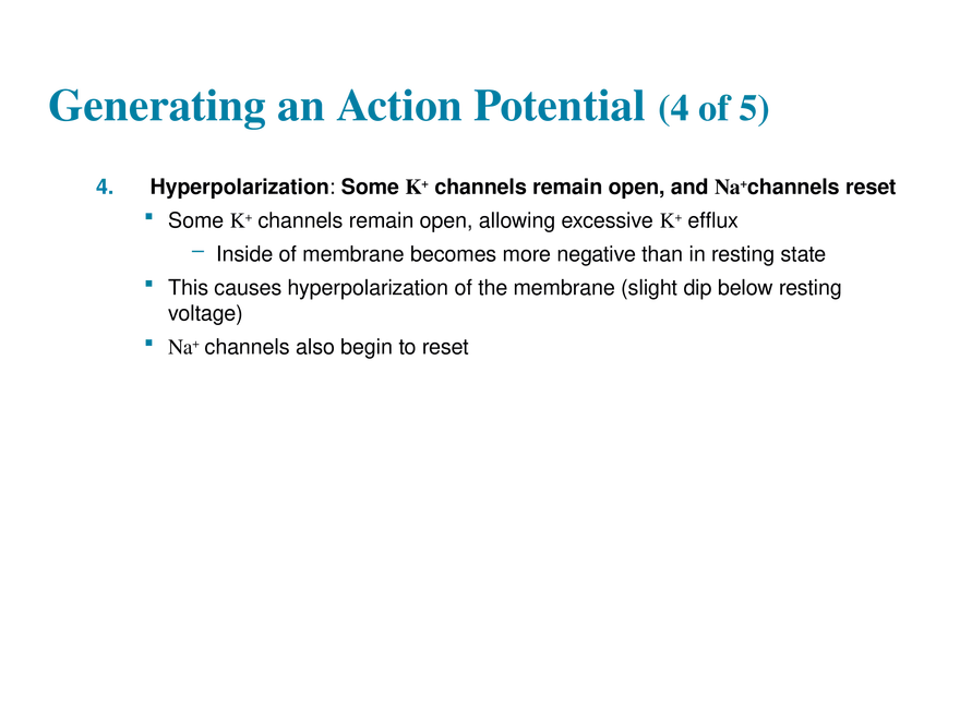 11.6  Action Potentials - Page 36