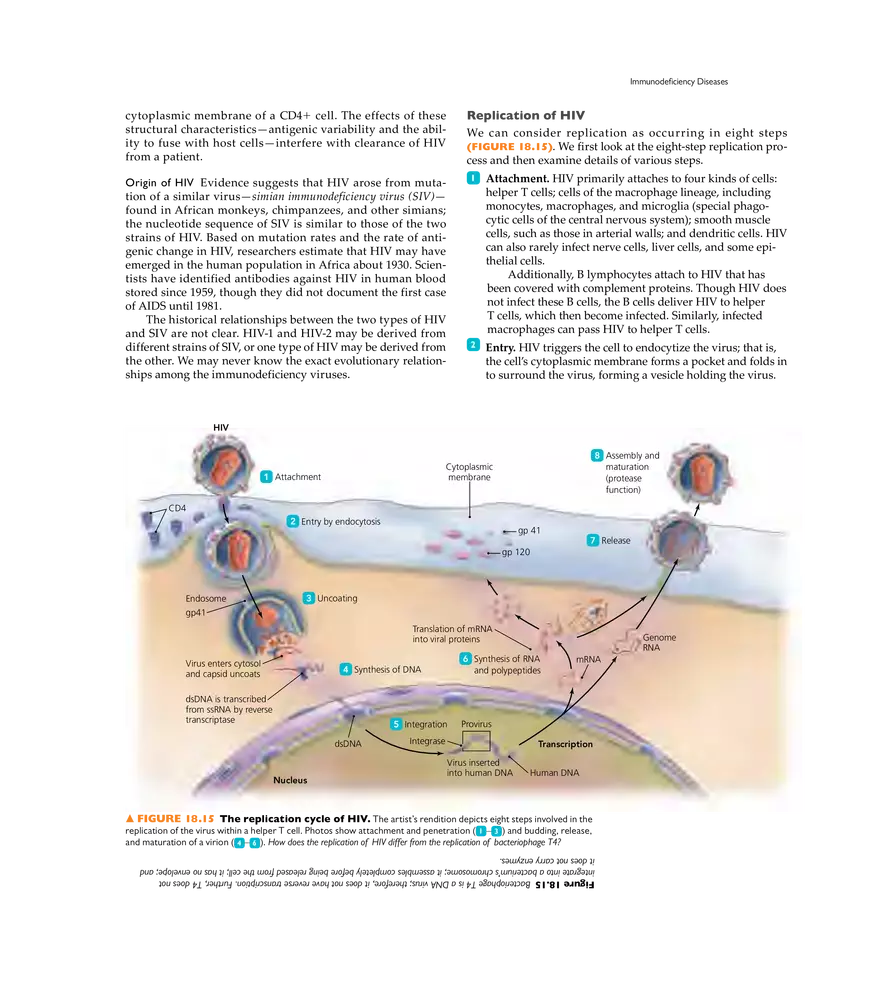 Immune Disorders - Page 10
