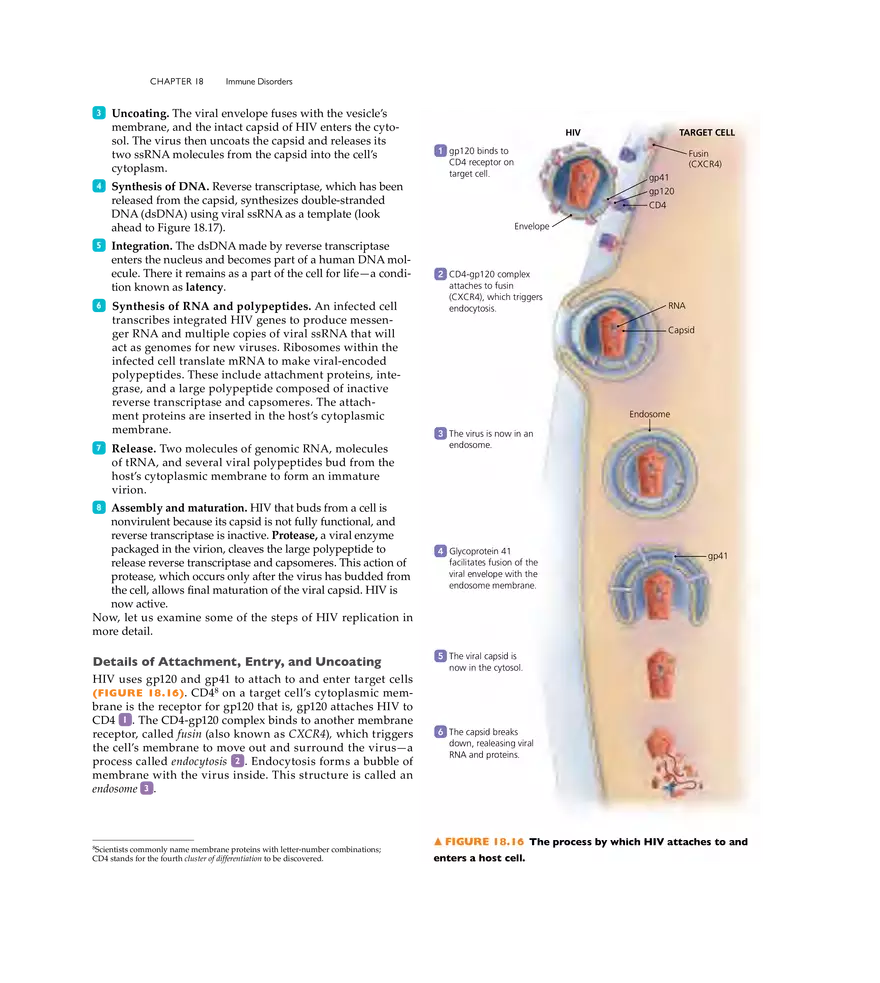 Immune Disorders - Page 11