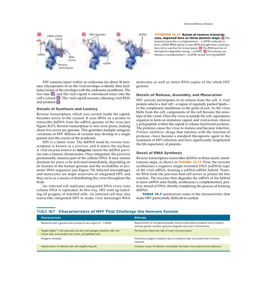 Immune Disorders - Page 12