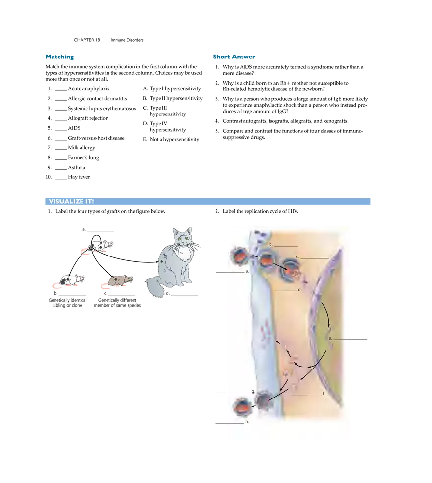 Immune Disorders - Page 20