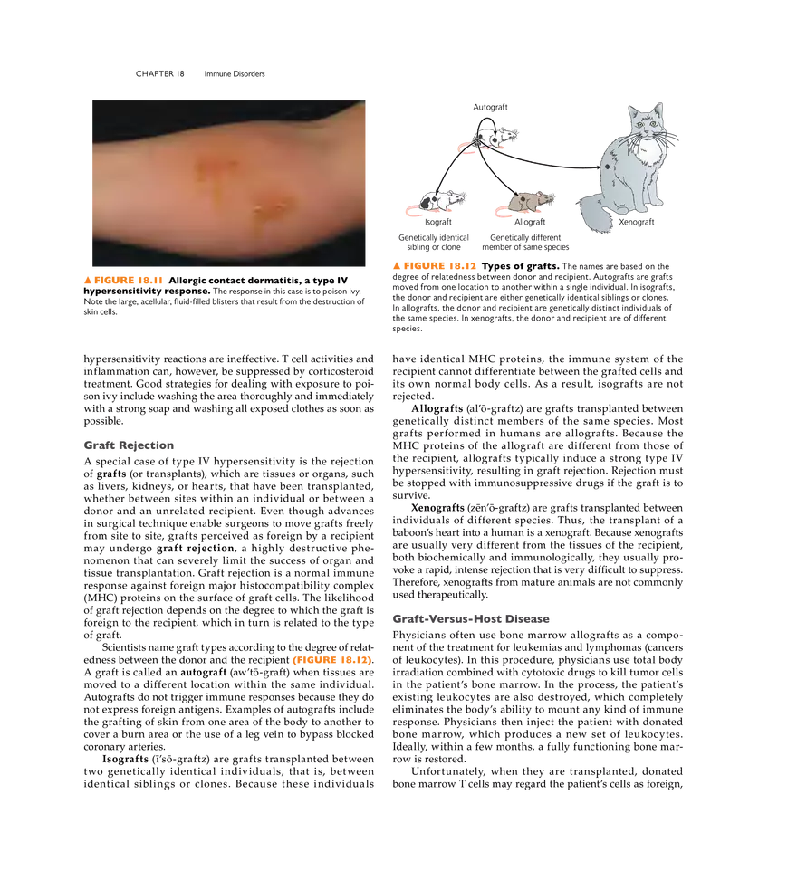 Immune Disorders - Page 3