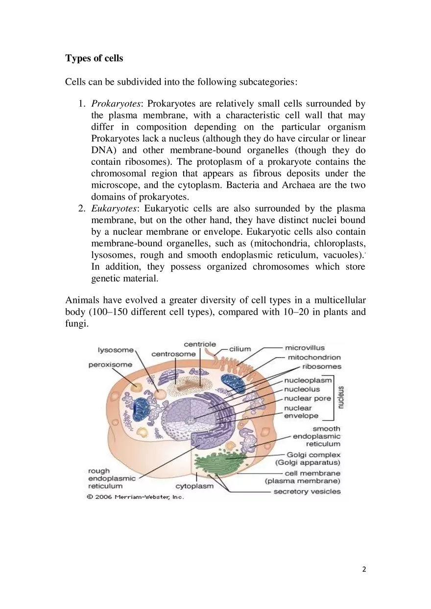 Cell Theory Questions - Page 2