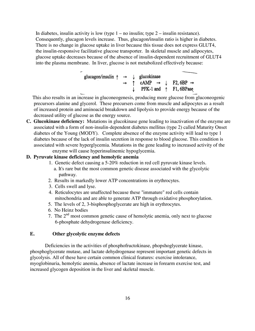 Glycolysis Notes Ganapathy - Page 8