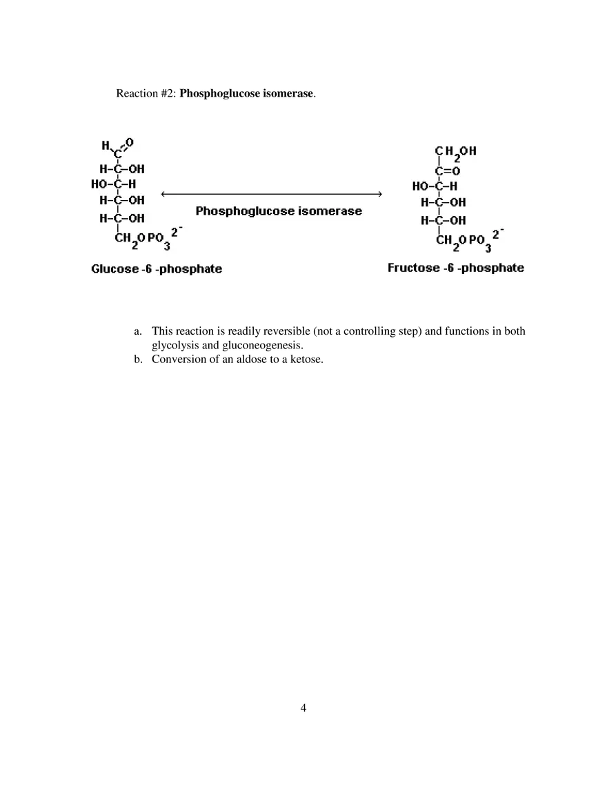 Glycolysis Notes Ganapathy - Page 10