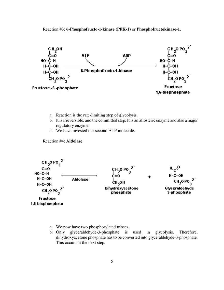 Glycolysis Notes Ganapathy - Page 11