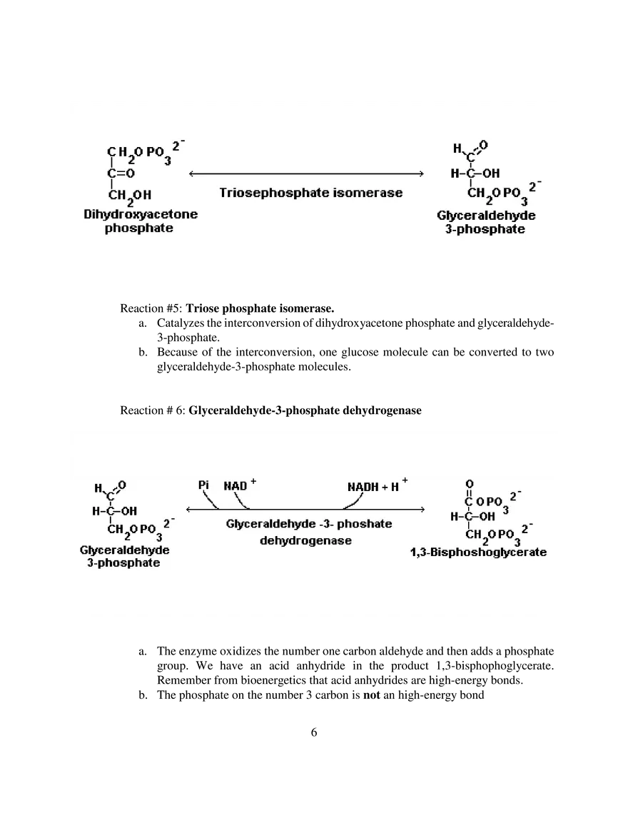 Glycolysis Notes Ganapathy - Page 12