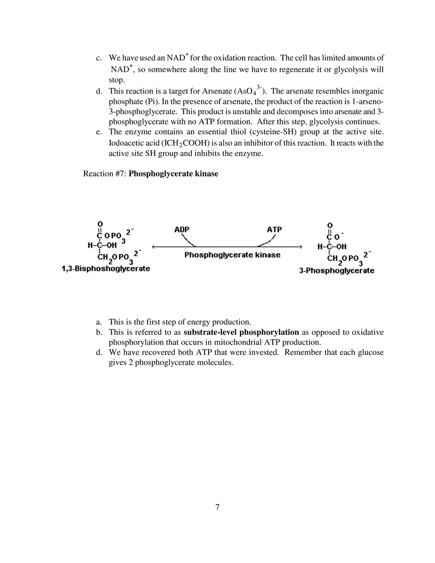 Glycolysis Notes Ganapathy - Page 13