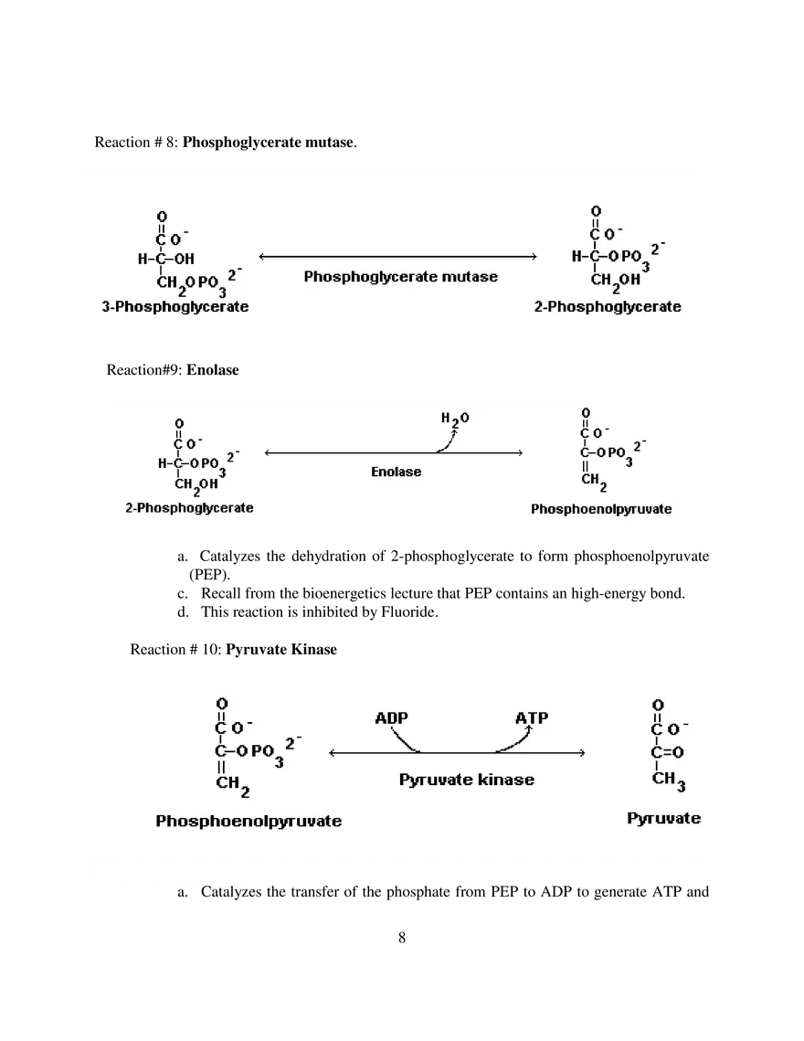 Glycolysis Notes Ganapathy - Page 14