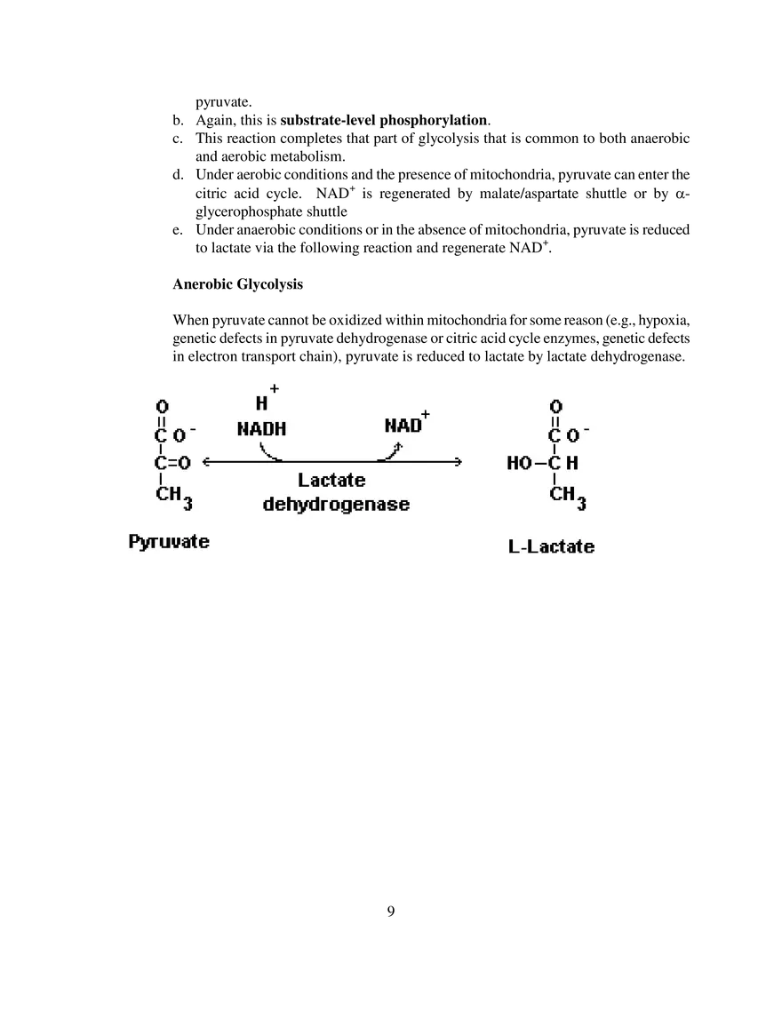 Glycolysis Notes Ganapathy - Page 15