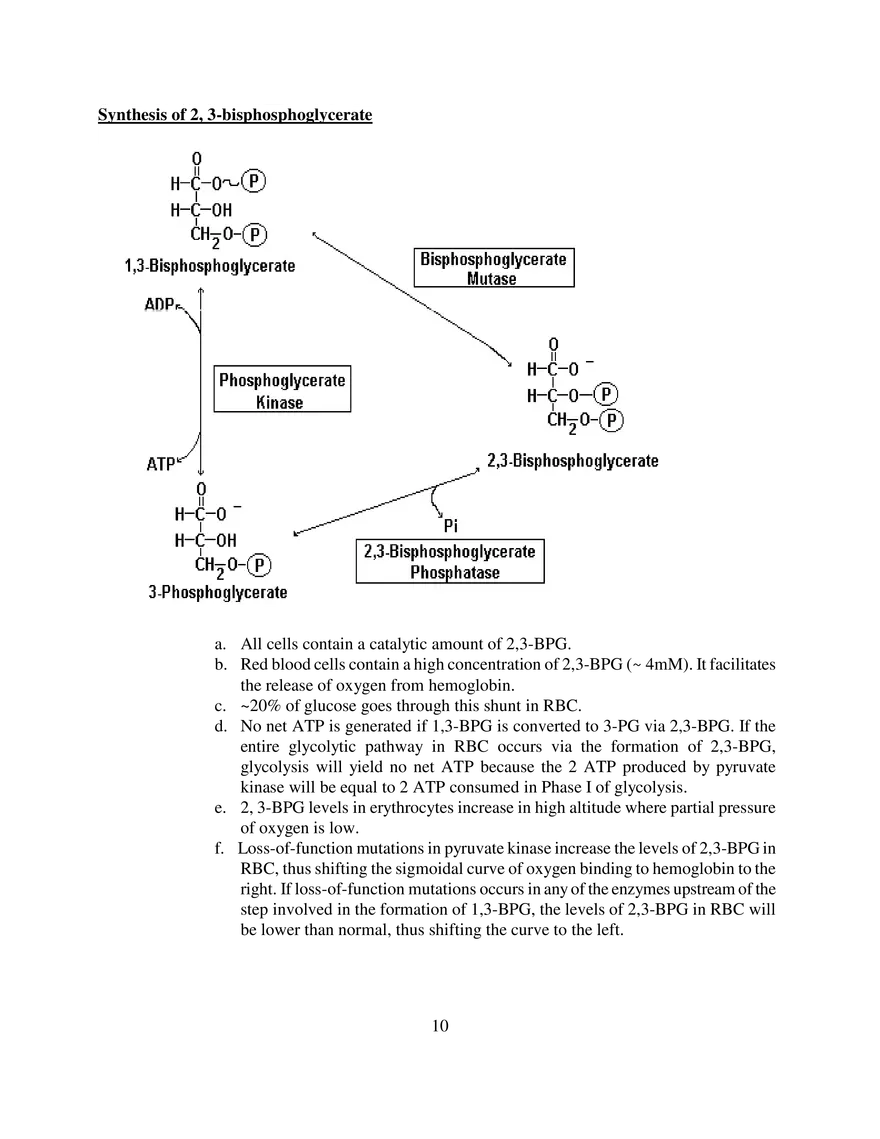Glycolysis Notes Ganapathy - Page 16