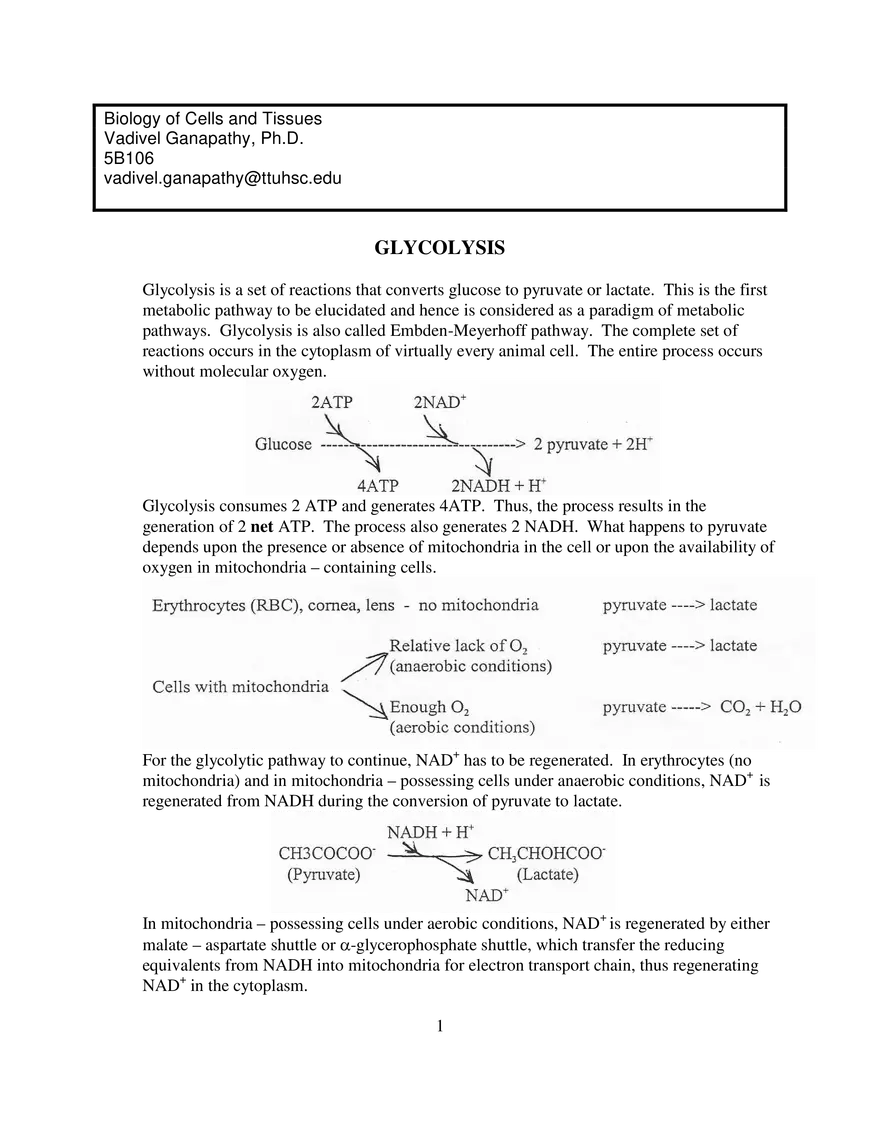 Glycolysis Notes Ganapathy - Page 1