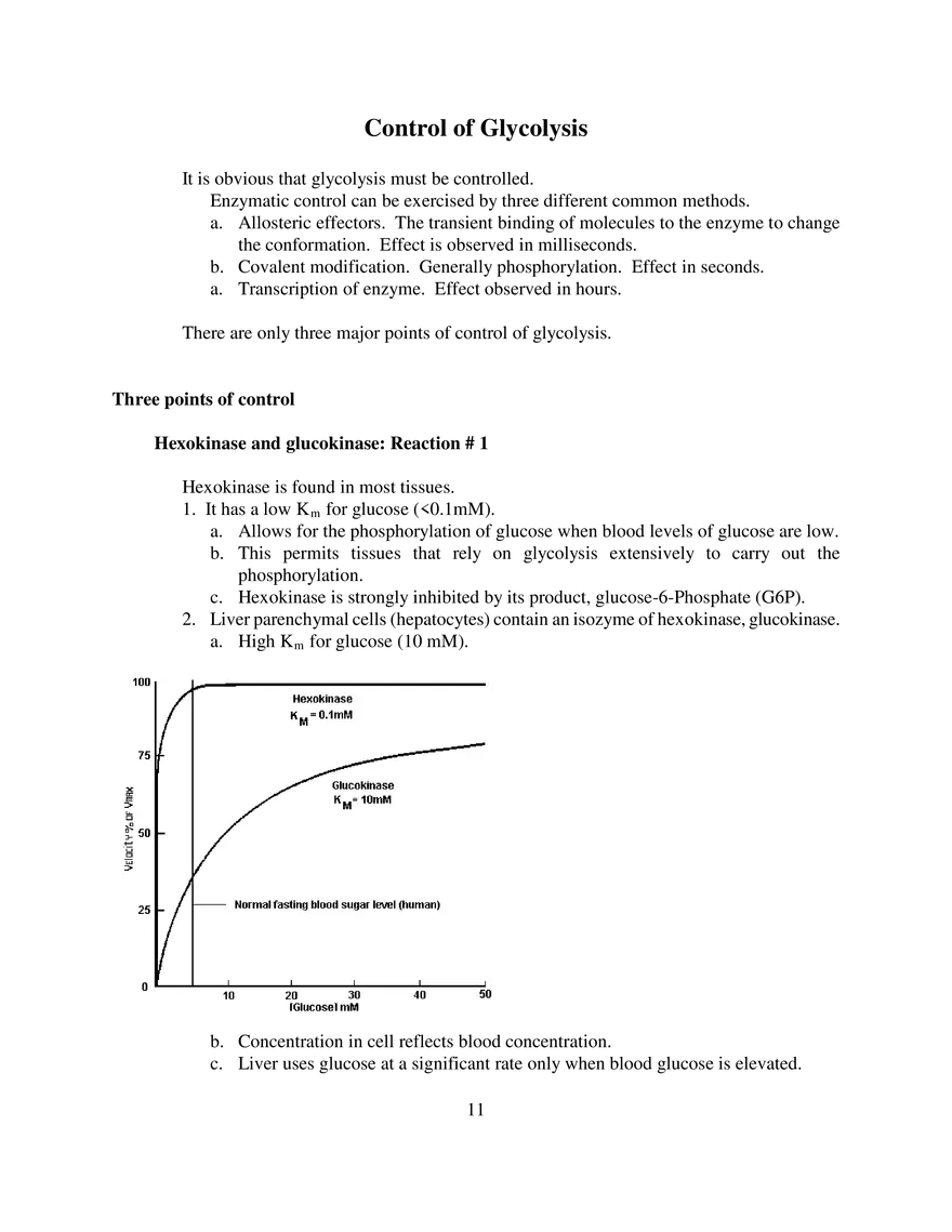 Glycolysis Notes Ganapathy - Page 3