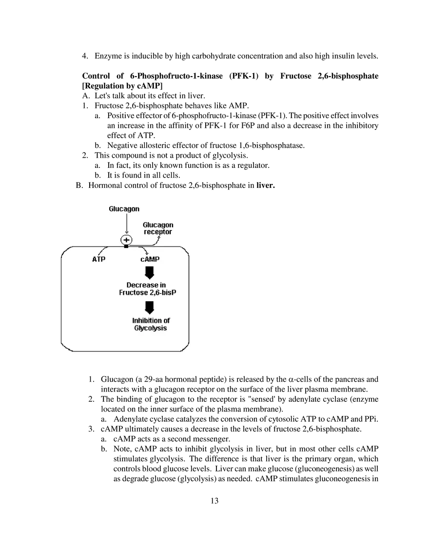 Glycolysis Notes Ganapathy - Page 5