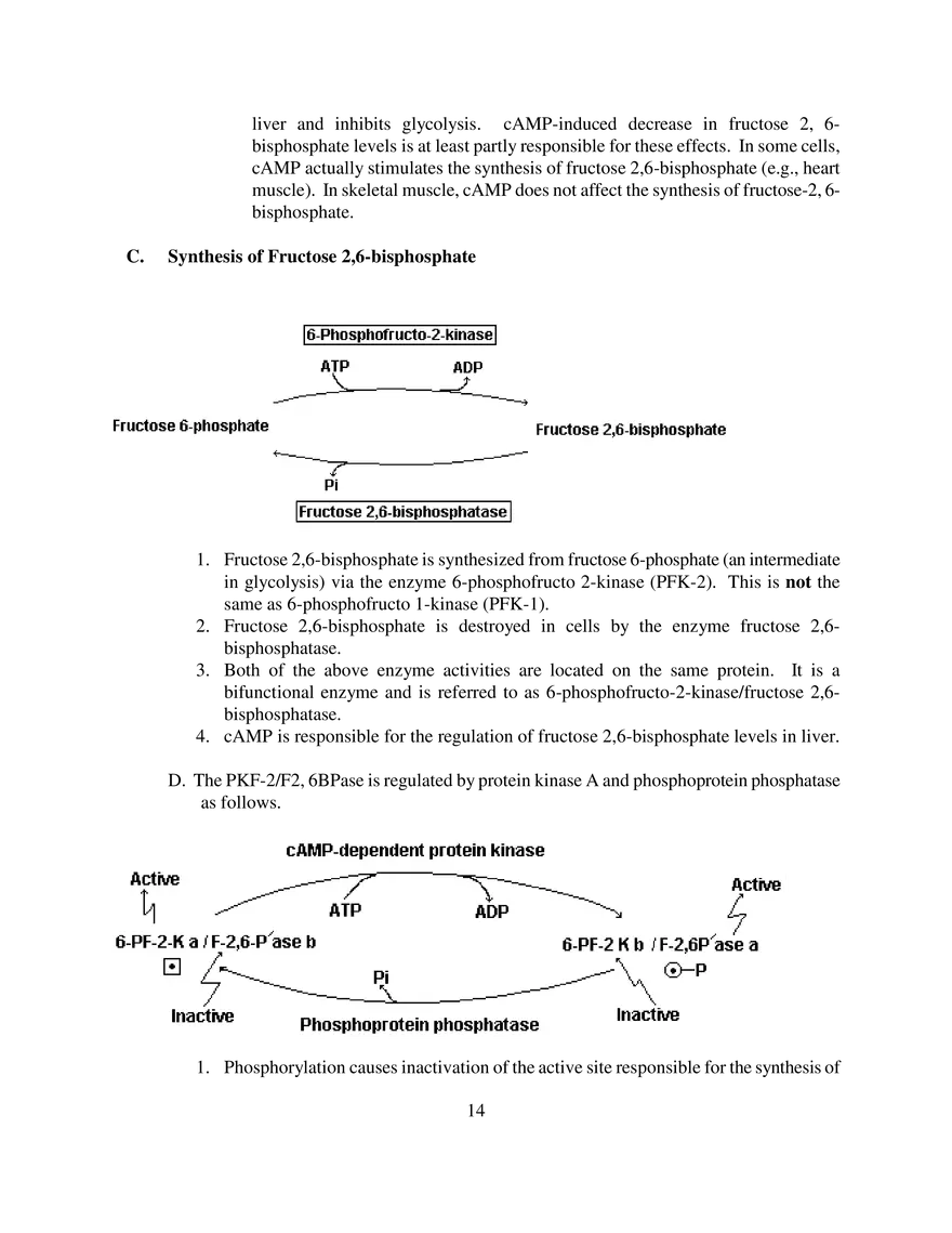 Glycolysis Notes Ganapathy - Page 6