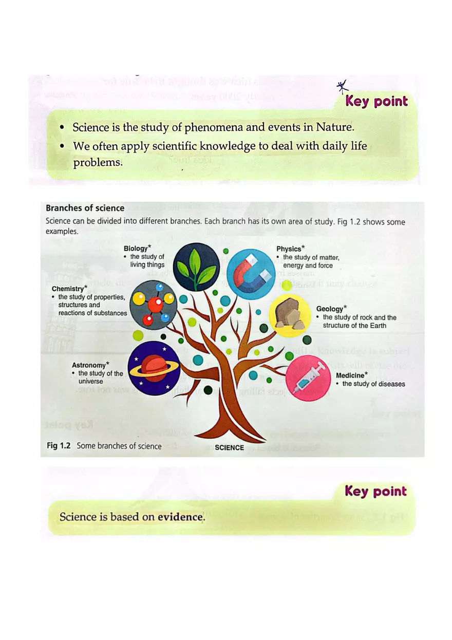 Introduction to Science Branches and Areas of Study - Page 1