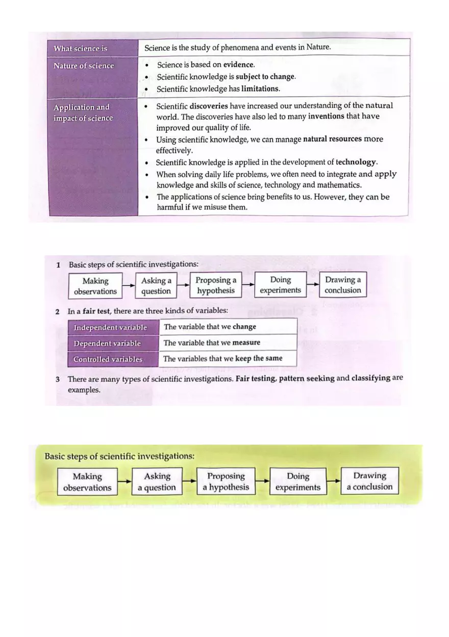 Introduction to Science Branches and Areas of Study - Page 3