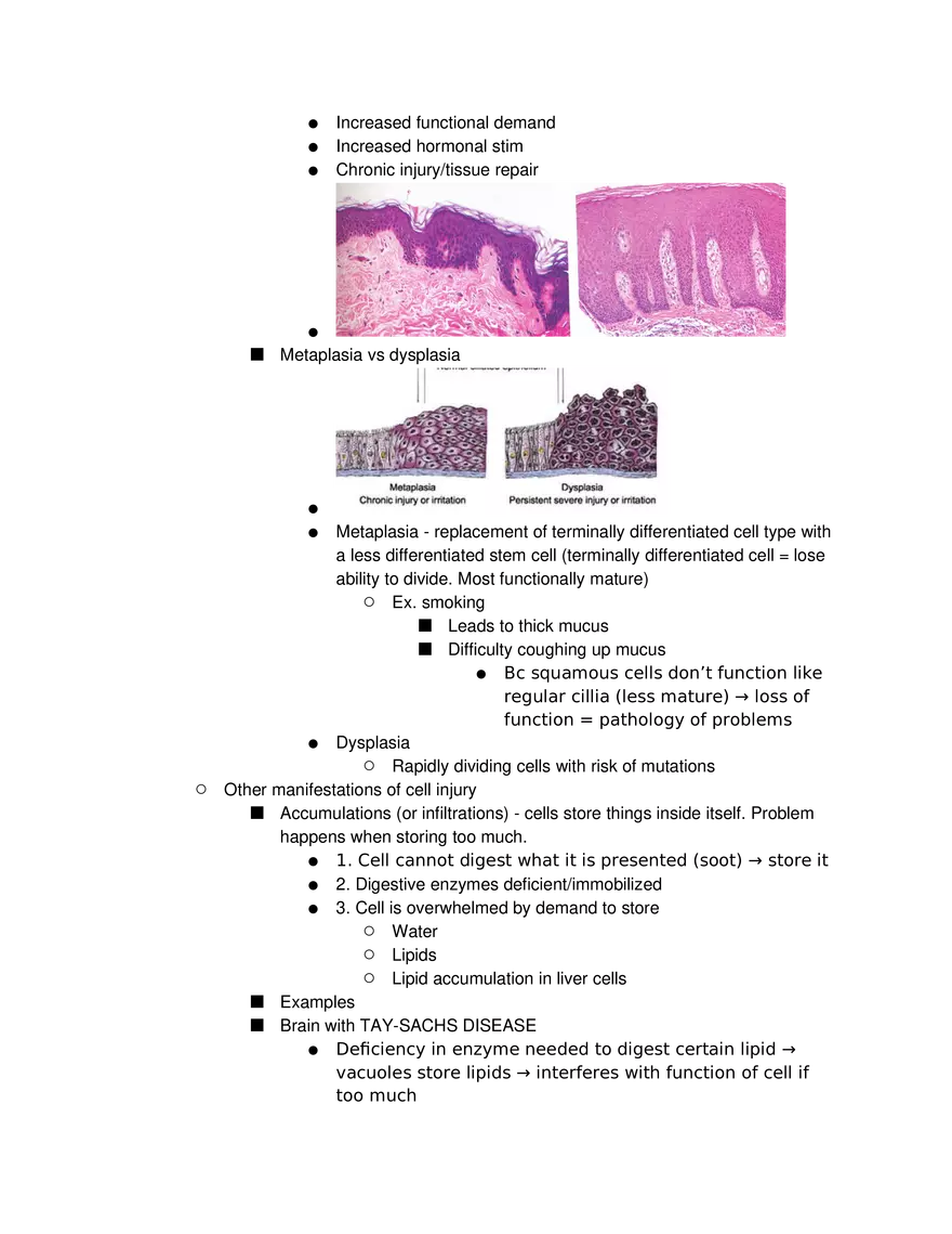 Introduction to Pathophysiology and Cellular Basis of Disease Part 2 - Page 7