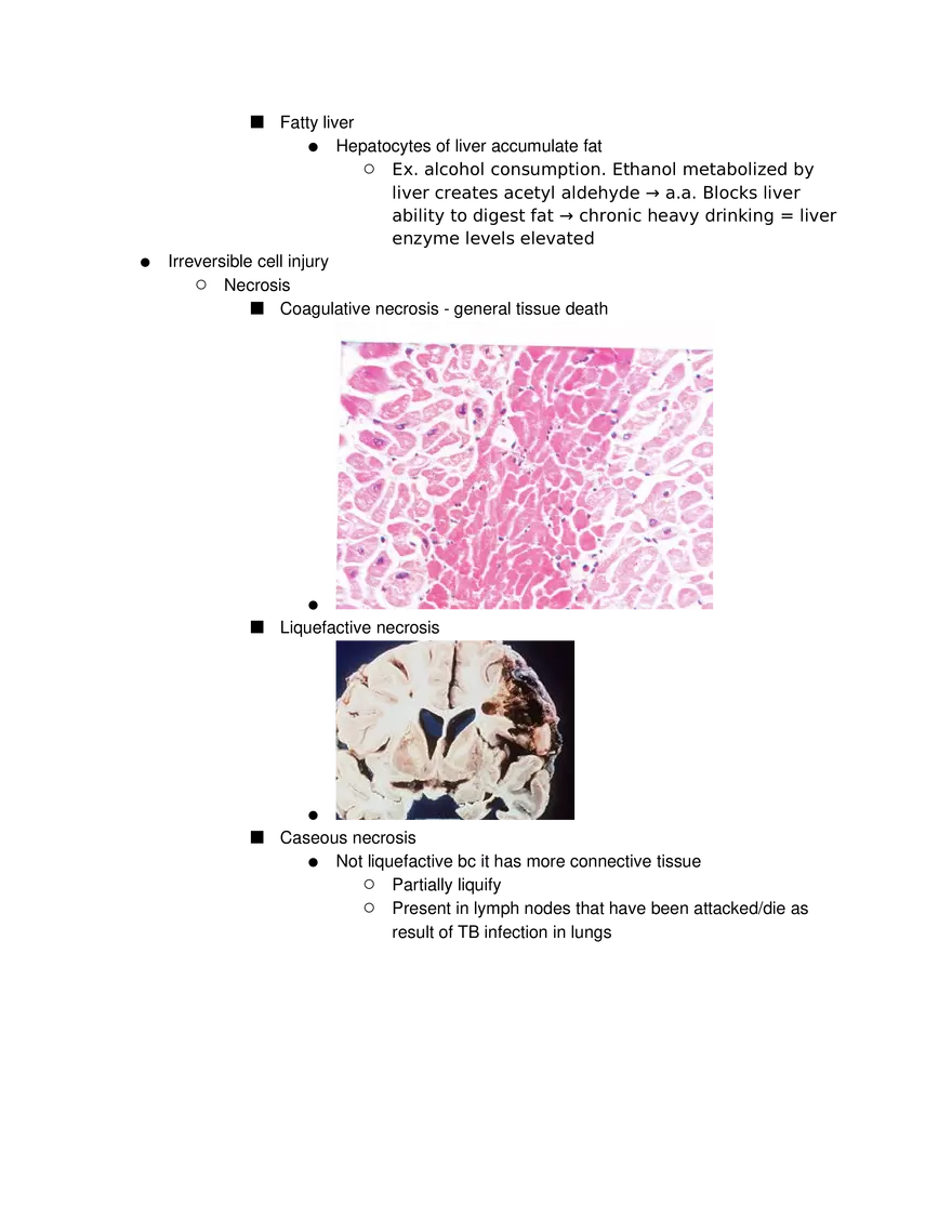 Introduction to Pathophysiology and Cellular Basis of Disease Part 2 - Page 8
