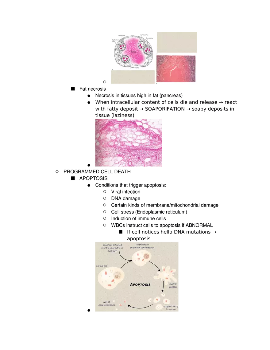 Introduction to Pathophysiology and Cellular Basis of Disease Part 2 - Page 9